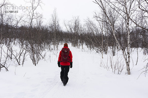 Abisko-Nationalpark  Schweden  Skandinavien  Europa