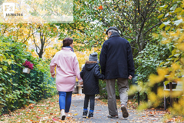 Durchgehende Rückansicht des Jungen  der im Herbst mit Urgroßvater und Mutter im Park spazieren geht.