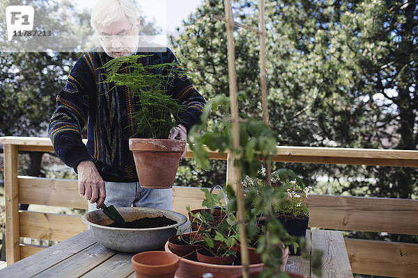 Senior Mann beim Füllen von Kompost in Topfpflanze am Tisch