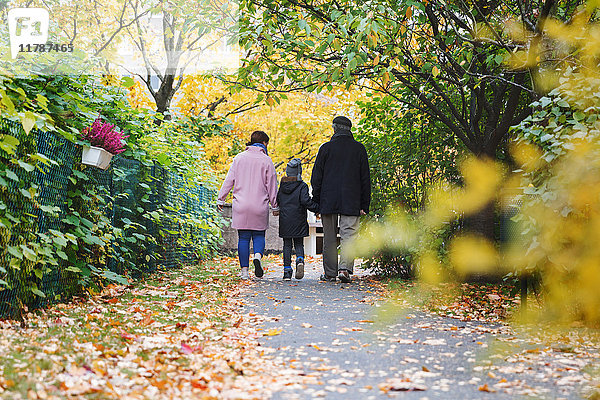 Rückansicht des Jungen  der im Herbst mit Urgroßvater und Mutter im Park spazieren geht.