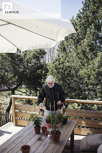 Hochwinkelansicht des älteren Mannes  der Topfpflanzen am Tisch gegen Bäume gießt.