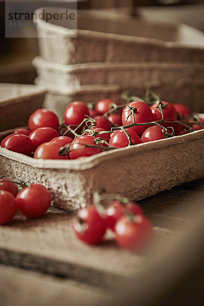 Stilleben frisch  bio  rot  gesunde Strauchtomaten im Container