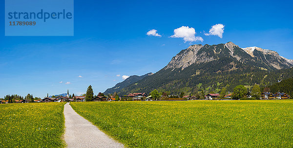 Deutschland  Bayern  Allgäu  Lorettowiesen und Oberstdorf