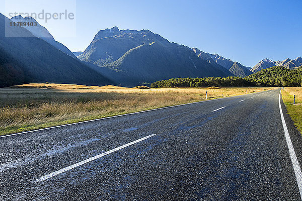 Neuseeland  Südinsel  Fiordland Nationalpark  Te Anau Milford Highway  Eglinton Valley