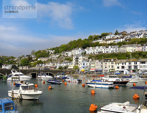 UK  England  Cornwall  Looe  Hafen bei Ebbe