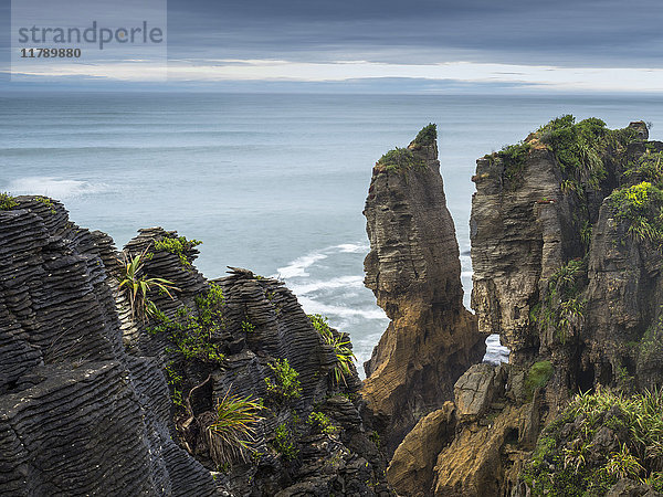 Neuseeland  Südinsel  Westküste  Tauranga Bay  Pancake Rocks Küste
