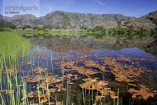Spanien  Castilla Leon  Provinz Zamora  Naturschutzgebiet Lago de Sanabria