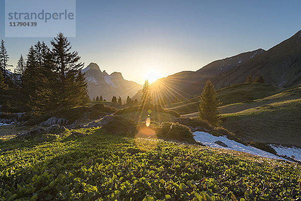 Österreich  Vorarlberg  Hochtannberg Pass im Gegenlicht