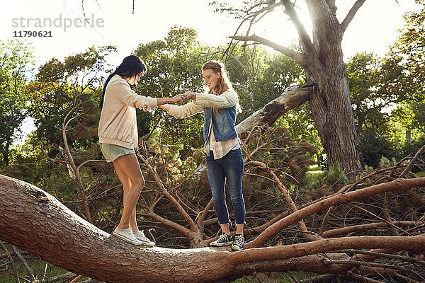 Zwei junge Frauen balancieren auf einem Baumstamm