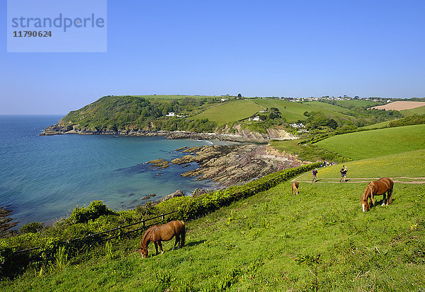 UK  England  Cornwall  Blick auf Talland Bay bei Polperro mit grasenden Pferden im Vordergrund