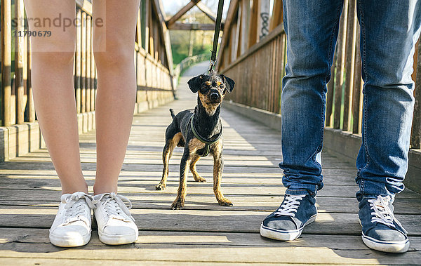 Hund zwischen den Beinen eines Paares auf einer Brücke