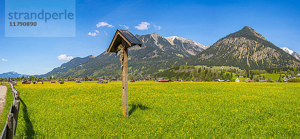 Deutschland  Bayern  Allgäu  Lorettowiesen  Wegkreuz