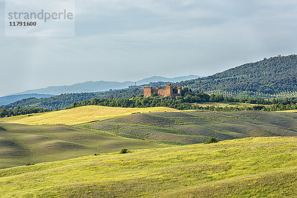 Italien  Toskana  Val d'Orcia  Asciano  alte Burg