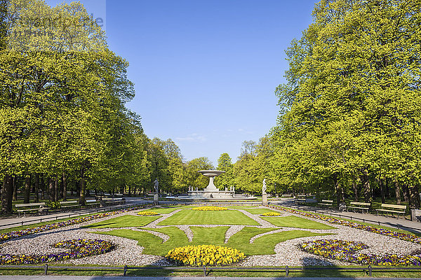 Polen  Warschau  Sächsischer Garten im Frühjahr