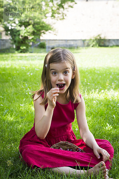 Porträt eines kleinen Mädchens in rotem Sommerkleid  das auf einer Wiese sitzt und Kirschen isst.