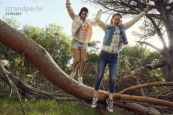 Zwei junge Frauen  die Hand in Hand vom Baumstamm springen