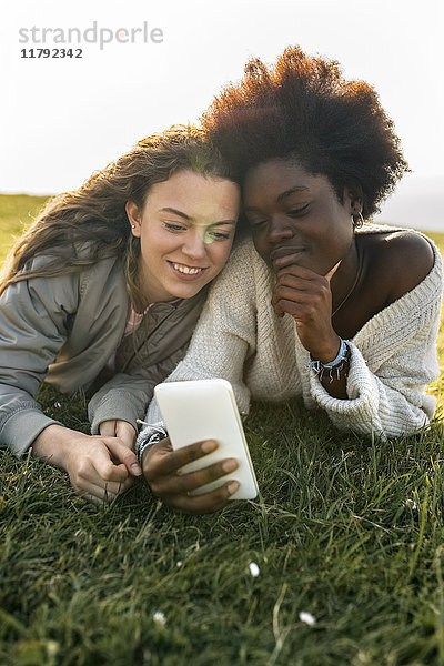 Zwei beste Freunde im Gras liegend mit Handy