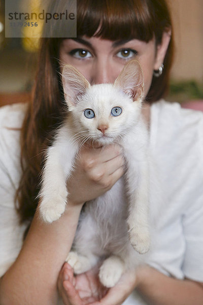 Portrait eines weißen Kätzchens mit Besitzer im Hintergrund