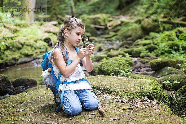Kleines Mädchen mit Lupe  das im Wald auf einem Felsen hockt und eine Feder beobachtet.