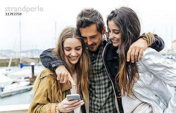 Drei Freunde beim Blick auf das Handy im Yachthafen