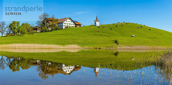 Deutschland  Allgäu  Hegratsrieder See mit Kapelle und Bauernhaus