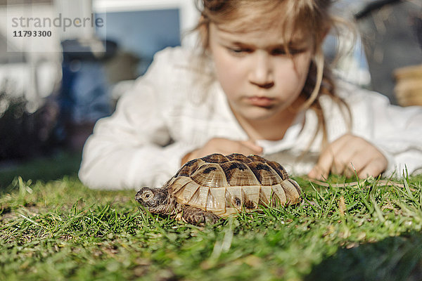 Mädchen schaut auf Schildkröte im Garten