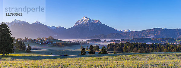 Deutschland  Bayern  Ammergauer Alpenpanorama am Morgen
