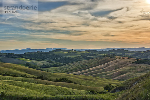 Italien  Toskana  Val d'Orcia  hügelige Landschaft