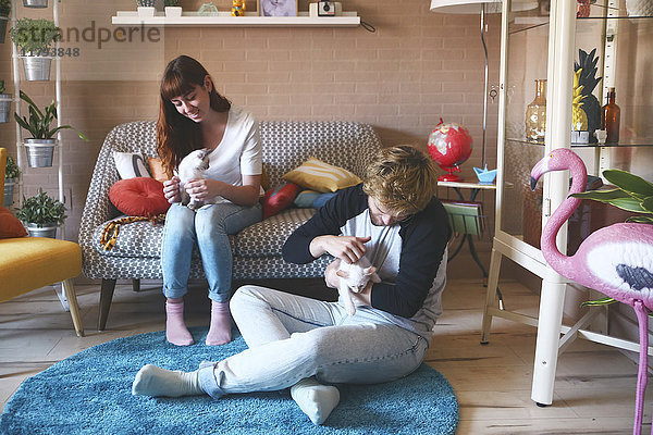 Junges Paar mit Kätzchen im Wohnzimmer