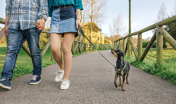 Junges Paar geht mit Hund spazieren  Teilansicht