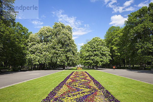 Polen  Warschau  Sächsischer Garten im Frühjahr  Rasen mit Blumenbeet  Gassen und Bäumen