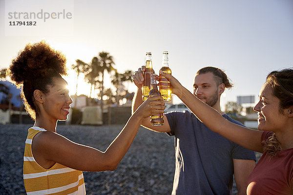 Drei Freunde stoßen mit Bierflaschen am Strand an.