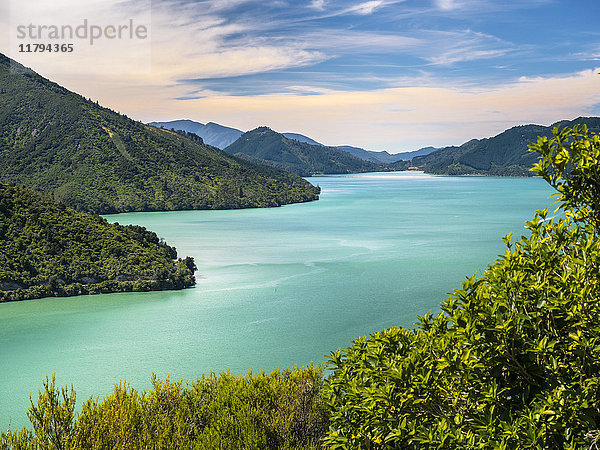 Neuseeland  Südinsel  Marlborough Sounds National Park