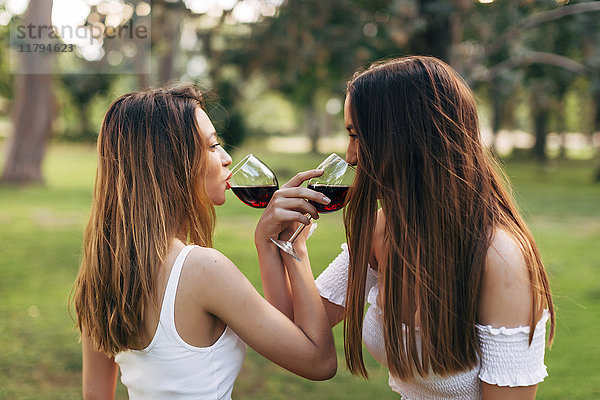 Zwei Frauen in einem Park  die von Angesicht zu Angesicht Rotwein trinken.