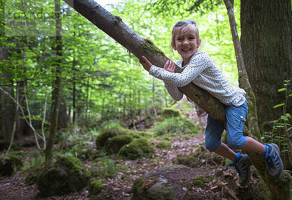 Porträt eines kleinen Mädchens  das im Wald auf einen Baum klettert.