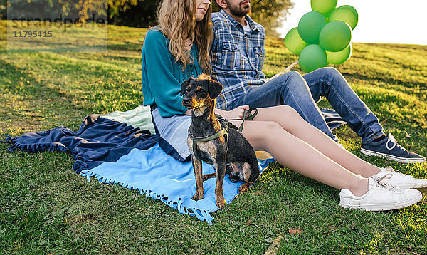 Junges Paar  das mit seinem Hund auf einer Wiese auf einer Decke sitzt.