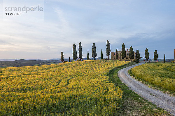 Italien  Toskana  Val d'Orcia  Bauernhaus bei Sonnenuntergang