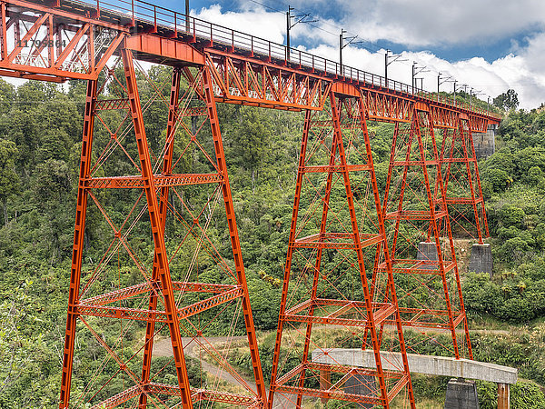 Neuseeland  Nordinsel  Tongariro Nationalpark  Makatote Viadukt