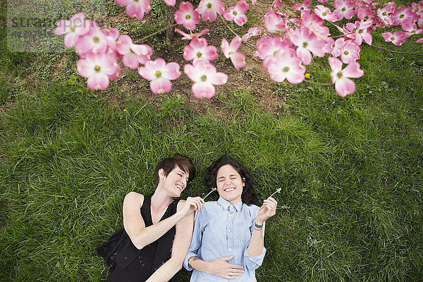 Ein gleichgeschlechtliches Paar  zwei Frauen  die lachend im Gras liegen  unter den Zweigen eines blühenden Baumes.