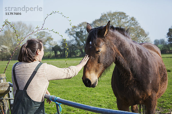 Frau steht im Freien an einem blauen Zaun und streichelt den Kopf eines braunen Pferdes.