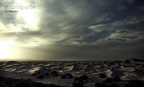 Wüstenlandschaft mit Sanddünen unter bewölktem Himmel.