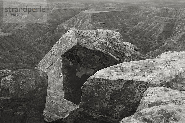 Felsformationen und San Juan Canyon vom Muley Point  Bears Ears National Monument  Utah