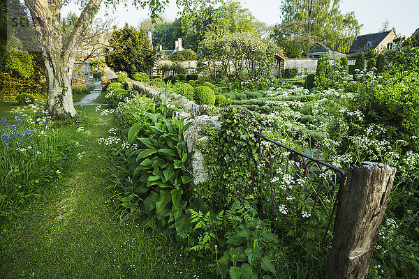 Ansicht des Gartens mit Zaun  Blumenbeeten  Sträuchern und Bäumen  Gebäude im Hintergrund.