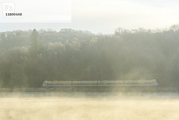 Zug fährt durch eine neblige Landschaft