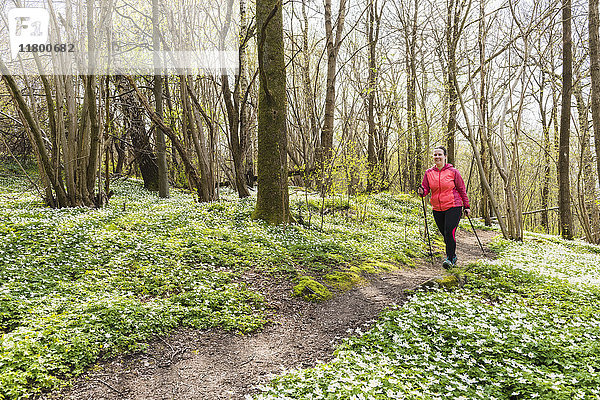 Frau Nordic Walking im Frühlingswald