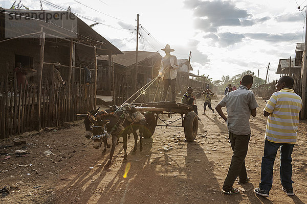 Mann reitet auf einem Eselskarren auf einer unbefestigten Straße  während andere Menschen auf der unbefestigten Straße stehen