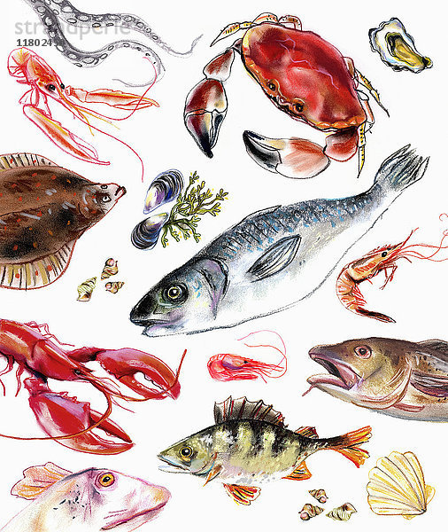 Auswahl an Fisch und Meeresfrüchten