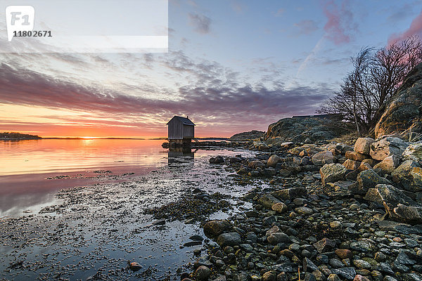 Felsenküste bei Sonnenuntergang