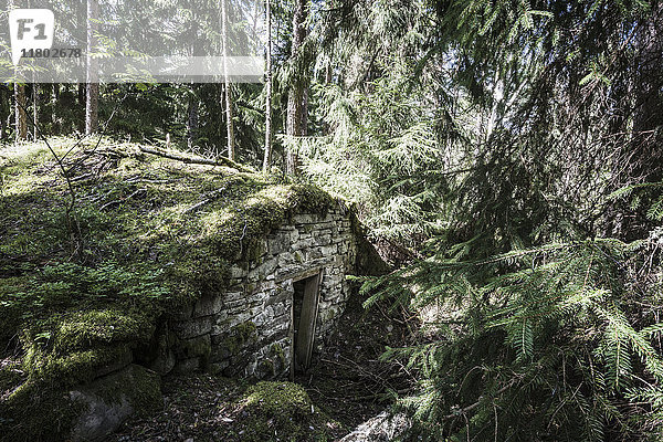Steingebäude im Wald