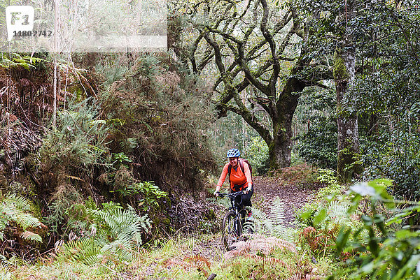 Frau fährt mit dem Mountainbike durch den Wald